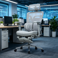 Chaise de bureau exécutive ergonomique moderne à dossier haut en maille pivotante avec support lombaire, roulettes et base en acier, garantie 5 ans