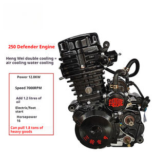 Moteur de moto [Machine de haute qualité spécifique Jiangsu] Moteur de trike Hanwei 250 refroidi par liquide Moteur Zongshen - Product Image 3