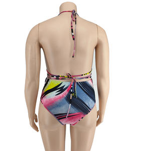 Costume da bagno firmato 2024 marche famose fasciatura costume da bagno leopardato taglie forti costume da bagno da donna - Product Image 5