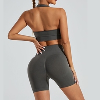 Produsen Set Yoga Celana Pendek Yoga Elastis Tinggi Tanpa Jahitan Model Baru untuk Perdagangan Luar Negeri, Sport Bra Leher Tinggi, Pakaian Dalam, Celana Fitness Lari