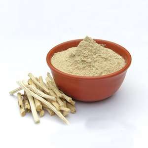 Poudre de Shatavari de Qualité Alimentaire en Gros, Ingrédient Herbal Naturel Professionnellement Traité, Nutraceutique Bien-être, Usage Traditionnel - Product Image 6