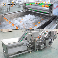 Commerciële groentewasinstallatie 1000kg/uur Passievrucht Sla Aardappel Ui Reinigingslijn Machine