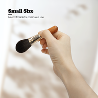 Échantillons gratuits de haute qualité manche en bois mini portable 9 pièces ensemble de pinceaux de maquillage en gros