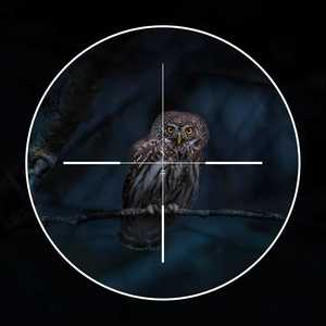 Monocular de Visión Nocturna con Zoom Óptico de 10x-20x, Alcance de 200m, para Monitoreo de Seguridad en Exteriores - Product Image 1