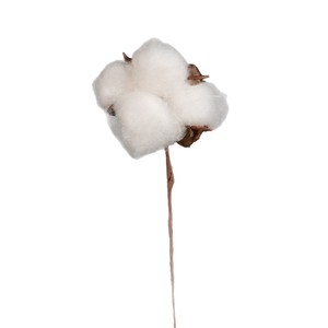 Bouquet de fleurs séchées en coton naturel, longues branches, accessoires décoratifs blancs pour la maison, l'hôtel, la photographie de mariage - Product Image 5