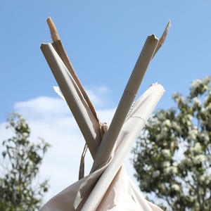 Carpa Piramidal India para Exteriores, 220x220x200cm, de una Sola Capa, de Algodón Oxford, Impermeable, Plegable, para las Cuatro Estaciones - Product Image 2