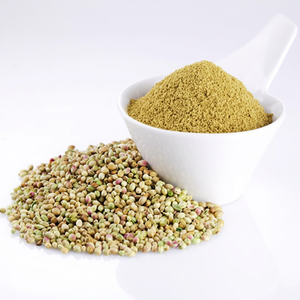 Coriandre en poudre 100% pure d'Inde, récolte fraîche de qualité supérieure, FitTree International, épice aromatique brute du Gujarat, durée de conservation de 24 mois - Product Image 1