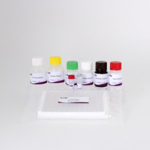 Prv GE protein IgG kháng thể phát hiện Kit (Elisa) cho lợn huyết thanh - Product Image 2