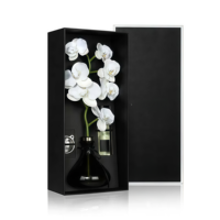 Boîtes d'emballage pour plantes en pot personnalisées en gros avec ciseaux Boîte d'emballage en carton rigide pour fleurs de fleurs Boîte recyclable