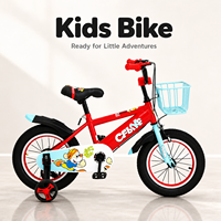 Bicicletta per Bambini 12'' 14'' 16'' 18'' Rossa Blu Rosa Grigia per Ragazzi e Ragazze Sport all'Aperto con Ruote Staccabili