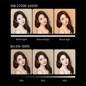 DENGWEI lumière LED professionnelle pour la <span class=keywords><strong>photographie</strong></span> vidéographie température de couleur réglable boîtier noir accessoires de Studio Photo - Product Image 2