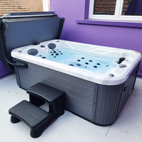 Spa de massage extérieur avec bain à remous pour 3 personnes, idéal pour balcon