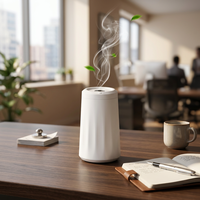 Diffuseur d'arômes sans eau rechargeable par USB en plastique, 35 ml, ultrasonique, silencieux, huile parfumée, hôtel, portable, maison, voiture