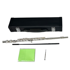 <span class=keywords><strong>Flauta</strong></span> Dulce Plateada de 16 Orificios de la Marca Aiersi, Instrumento Musical de Viento de Latón con Estuche, Logotipo Personalizado, Hecho en China - Product Image 2