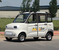 Vehículo Eléctrico de Movilidad para Personas Mayores, Sin Necesidad de Licencia de Conducir, con Aire Acondicionado, Color y Logotipo Personalizados para Uso Familiar