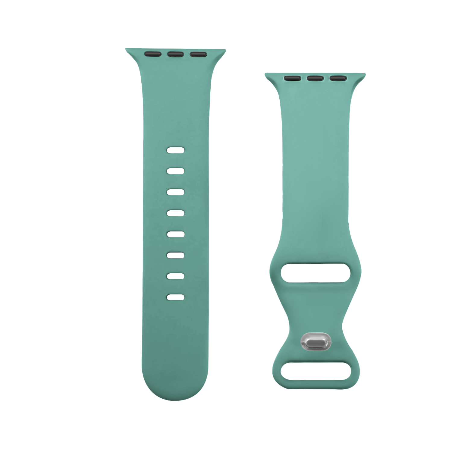 6 # แคคตัส