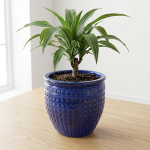 Modern Glazed Clay Ceramic Lightweight Circular <b>Succulent</b> Plant <b>Pot</b> for Outdoor Use 500 Capacity - Product Image 1