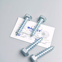 Vis à bois MALAXY DIN571 en acier au carbone, zinguées bleu-blanc, à tête hexagonale, filetage grossier, pour le bois