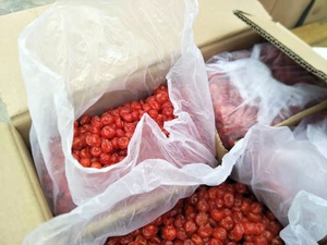 OEM khô anh đào quảng cáo anh đào - Product Image 6