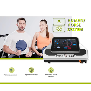 Professional PEMF Therapy Machine s Horses Magnetic Pulse Device Pain Relief Rehabilitation Scraping Apparatus - Product Image 3