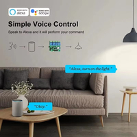 Module de relais intelligent Tuya Zigbee 4 gangs marche/arrêt RF DC 12V 24V USB 5V Momentané Autobloquant Interbloquant Contrôlé par application