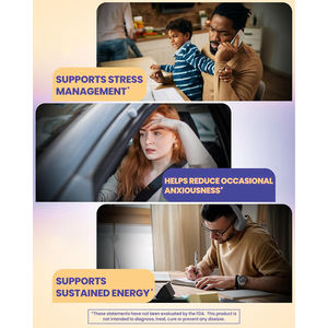 Tiras Orales de Ashwagandha OEM/ODM para Adultos - Reduce el Estrés y Aumenta la Energía, Favorece la Claridad Mental y la Inmunidad - Product Image 4