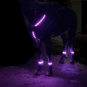 Bande lumineuse <span class=keywords><strong>pour</strong></span> cheval, qui brille dans <span class=keywords><strong>la</strong></span> <span class=keywords><strong>nuit</strong></span>, avertissement sécurité, <span class=keywords><strong>accessoires</strong></span> d'équitation, flash, en Nylon - Product Image 2