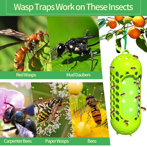 Pièges à abeilles suspendus d'extérieur, réutilisables et sûrs, en forme de lanterne, non toxiques, pour attraper les insectes et les abeilles charpentières - Product Image 4