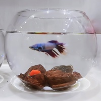 Vente en gros Vases en verre transparent avec grande boule Vases cylindriques transparents Bol à poisson rond décoratif pour table Aquarium en verre