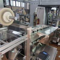 Machine d'emballage économique pour jouets gonflables - Prix compétitif
