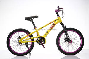 Vélos de montagne pour enfants, garçons et filles, avec cadre en acier à haute teneur en carbone, personnalisables en gros, 20/<span class=keywords><strong>22</strong></span> <span class=keywords><strong>pouces</strong></span>, vélos de montagne pour enfants - Product Image 4