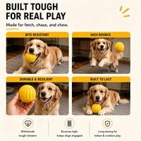 Jouet à mâcher interactif pour chien, balle interactive en EVA durable, jouets à mâcher pour animaux de compagnie pour soulager l'ennui, pour une utilisation quotidienne en intérieur