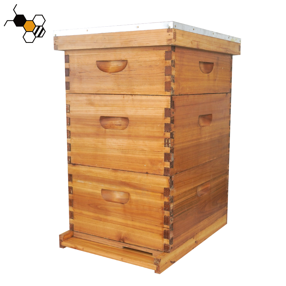 Vendita calda alveare in legno rivestito di cera completo langstroth beehive 10 cornici