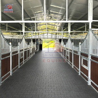 Kit de structure d'écurie pour 10 boxes, écurie portable en acier pour chevaux, pour utilisation en ferme équestre