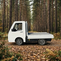 Quadricycle électrique lourd homologué EEC L7e Runhorse - Autonomie de 201 à 300 km, moteur de 7,5 kW, batterie de 20,6 kWh, mini pick-up fabriqué au Shandong