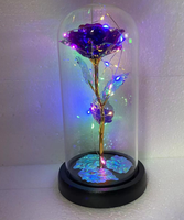 Offre Spéciale femmes noël plastique éternel galaxie rose pour toujours rose en verre dôme avec lumières led cadeau