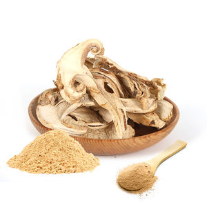 Extrato de Cogumelo Pleurotus Ostreatus (Cogumelo Ostra) com Polissacarídeos 10%~50% - Product Image 4