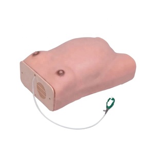 Modelo de examen de maternidad avanzado DARHMMY para entrenamiento en obstetricia y ginecología - Product Image 1