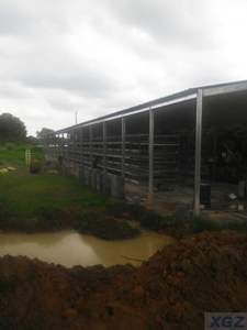 2024 nouvelle Structure en acier léger préfabriqué bâtiment de ferme personnalisé poulet canard volaille maison bâtiment - Product Image 6