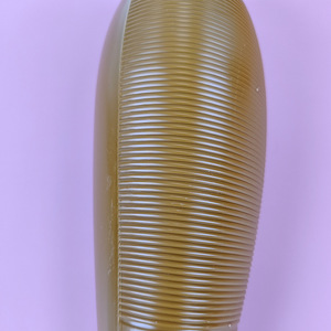 Sifflet en plastique en gros en forme de poisson et de grenouille, instrument Orff interactif parent-enfant - Product Image 4