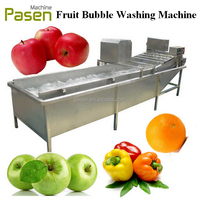 Machine à laver les légumes à bulles d'eau, lave-légumes pour tomates, fraises, fruits, nettoyage des fruits