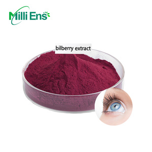 卸売4:1天然ビルベリーエキス25%-30% アントシアニン粉末食品グレードビタミンサプリメントボトル - Product Image 3