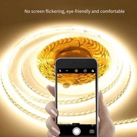 Lampu Strip LED Indoor Berkualitas Tinggi Terlaris 24V SMD 2835 Fleksibel