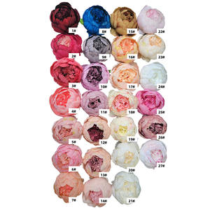 Hesper - Cabezas de Flores Artificiales de Hortensia y Peonía de Seda, Imitación de Margarita, Grandes y Económicas al por Mayor, para Decoración de Bodas, Graduaciones y Día de la Madre - Product Image 1