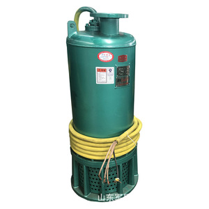 Bomba sumergible a prueba de explosiones Bqs Mine para arena, 1.5 Kw, 660V, 1 pulgada de descarga, para deshidratación en minería - Product Image 1