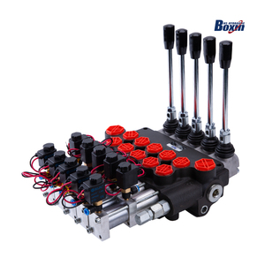 P80DQ pnömatik kontrol 80LPM vana elektrik kontrol P80 hidrolik kontrol vanası - Product Image 6