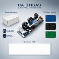Papan Amplifier Digital TPA3116 2.0 Saluran 2x100W 8-24V untuk Sistem Audio Rumah Grosir OEM Produsen Speaker Perakit