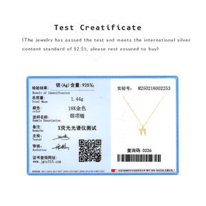 Collier Lettre Hébraïque en Argent Sterling 925 Plaqué Or 18 Carats Pavé de Zircon Cubique, Délicat, Tendance, Bijoux Juifs Classiques FUAMAY pour Femme - Product Image 2