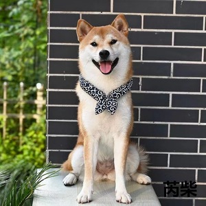 Pañuelo para mascotas con diseño de limón y arabescos japoneses, estilo Shiba Inu, para gatos y perros, ideal para vacaciones, de celebridad online transfronteriza. - Product Image 5