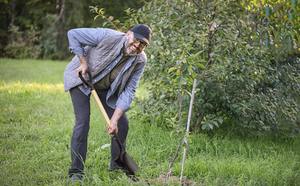 Pala redonda con mango en D con mango <span class=keywords><strong>de</strong></span> madera para jardinería y pala <span class=keywords><strong>de</strong></span> nieve para coche <span class=keywords><strong>de</strong></span> <span class=keywords><strong>playa</strong></span> para excavar - Product Image 6